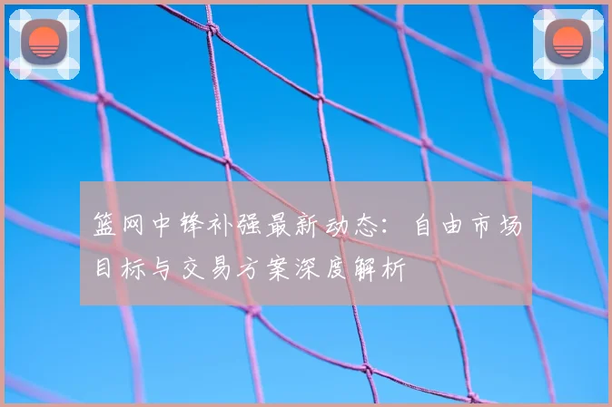 篮网中锋补强最新动态:自由市场目标与交易方案深度解析